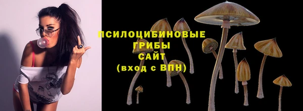 ГАЛЛЮЦИНОГЕННЫЕ ГРИБЫ Алексеевка
